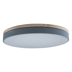 Потолочный светодиодный светильник Loft IT Axel 10001/36 grey