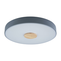 Потолочный светодиодный светильник Loft IT Axel 10003/24 grey