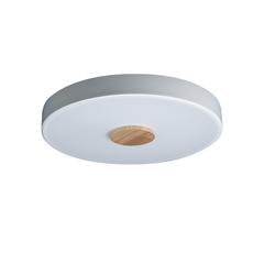 Потолочный светодиодный светильник Loft IT Axel 10003/24 white
